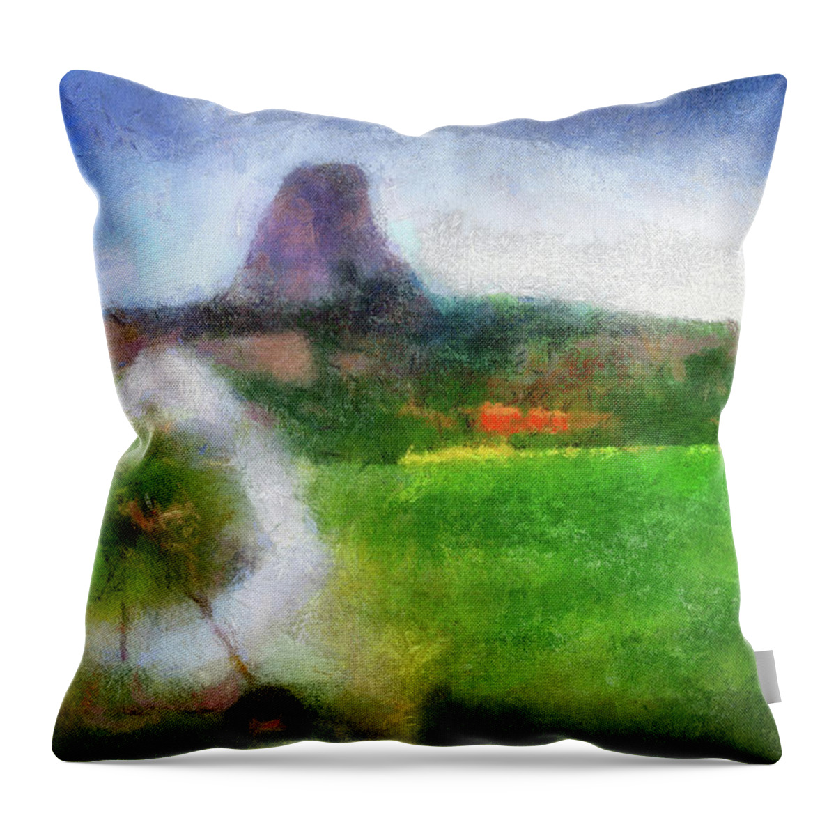 National Monument Throw Pillow featuring the photograph Wyoming August Farming Watering The Fields By Devils Tower PA 03 by Thomas Woolworth