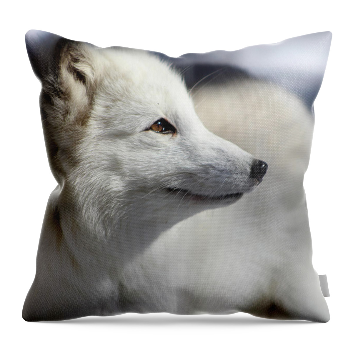Arctic Fox Throw Pillow featuring the photograph Yana the Fox by Azthet Photography