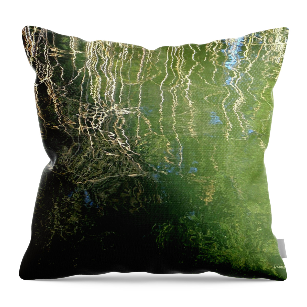 Water Throw Pillow featuring the photograph Yawning Depth by Donna Blackhall