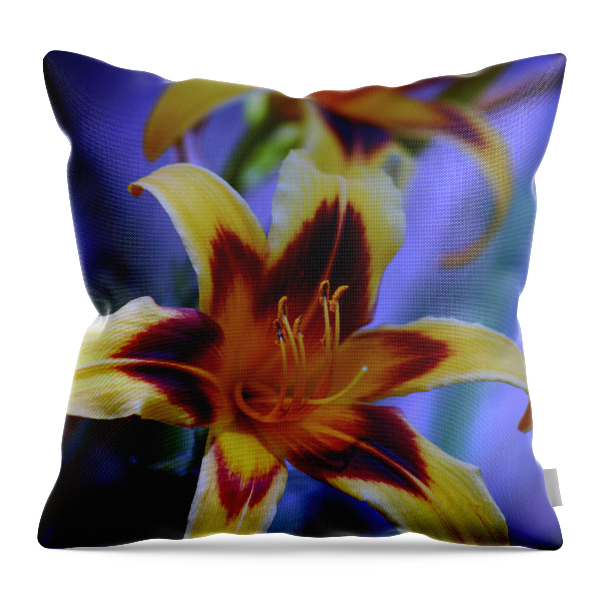 Yellow Throw Pillow featuring the photograph Yellow and Orange and Garnet Daylilies 1270 H_2 by Steven Ward