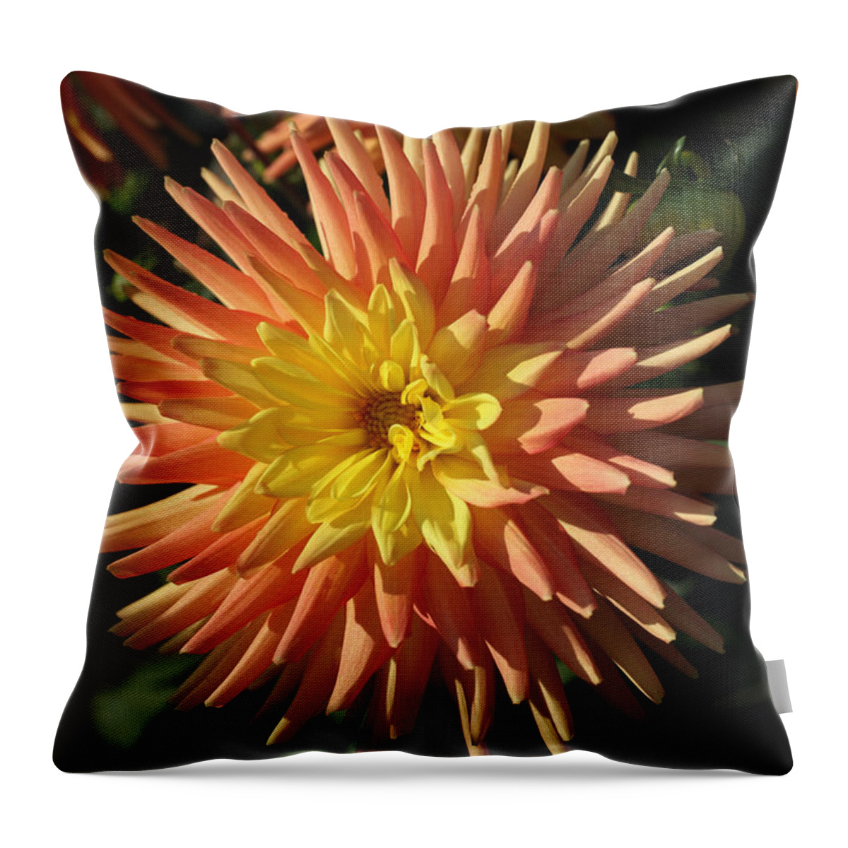 Dahlia Throw Pillow featuring the photograph Yellow and Orange BAM by Tammy Pool