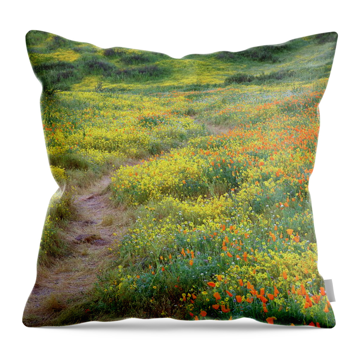 Wildflower Throw Pillow featuring the photograph Yellow and orange wildflowers along trail near Diamond Lake by Jetson Nguyen