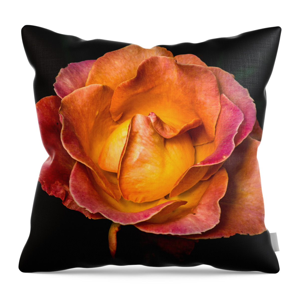 Jay Stockhaus Throw Pillow featuring the photograph Yellow and Pink by Jay Stockhaus