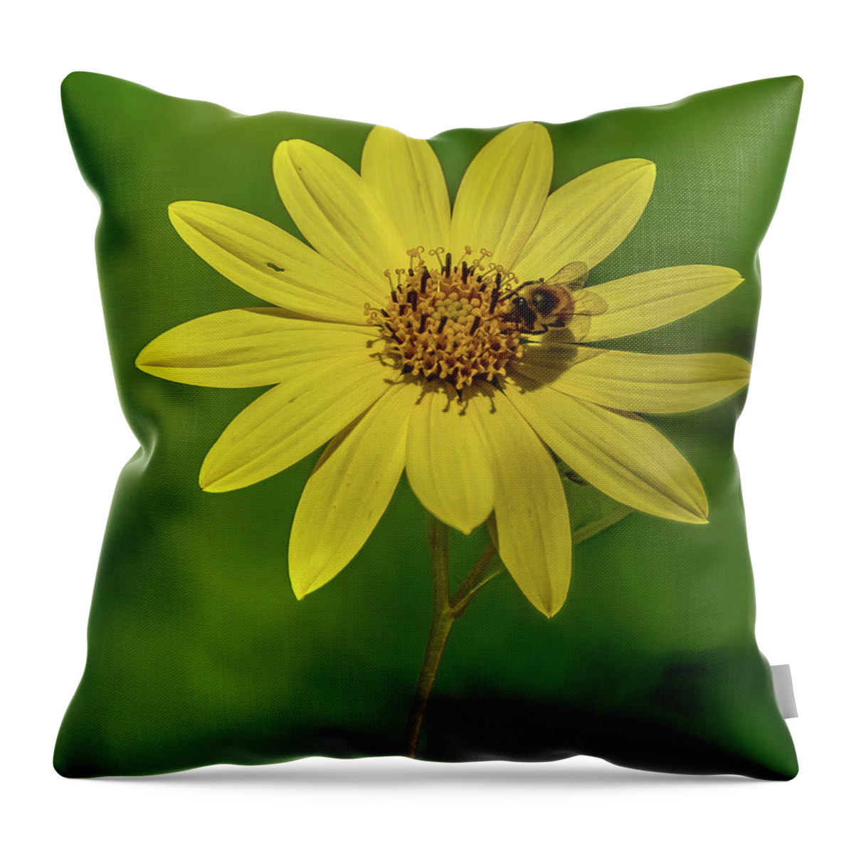 Bee Throw Pillow featuring the photograph Yellow - Bee by Jerry Cahill