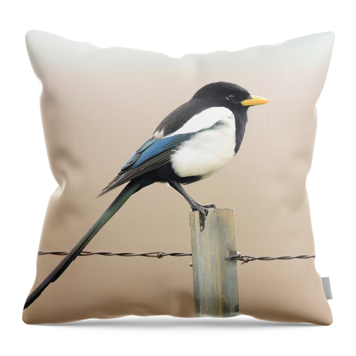 Bird Throw Pillow featuring the photograph Yellow-billed Magpie by Wingsdomain Art and Photography