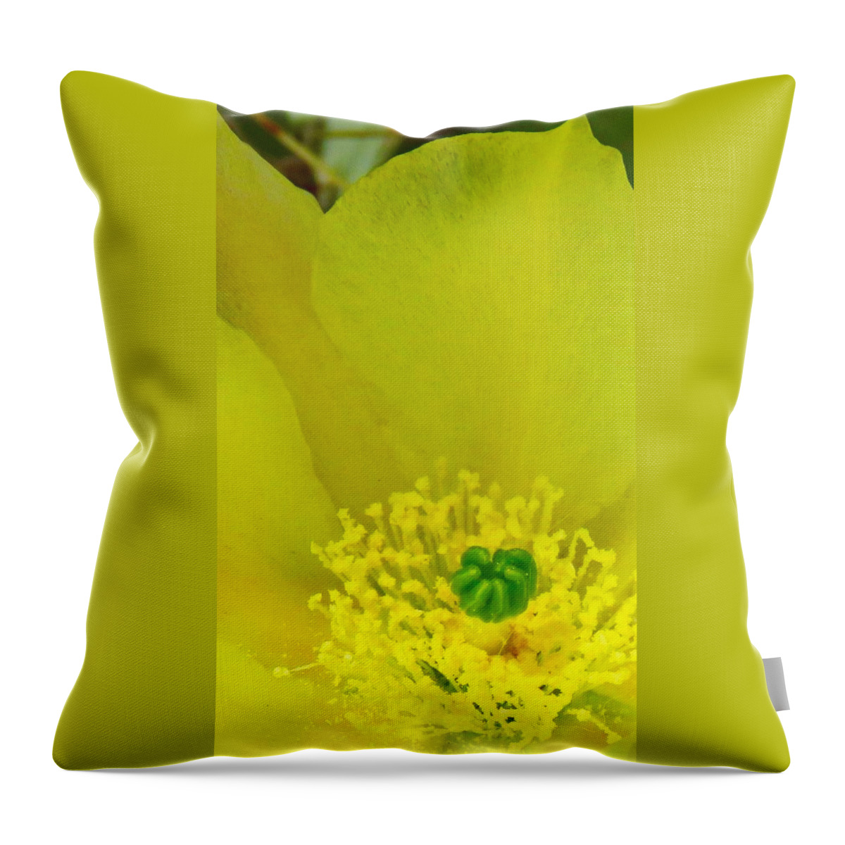  Arizona Throw Pillow featuring the photograph Yellow Bloom 1 - Prickly Pear Cactus by Judy Kennedy
