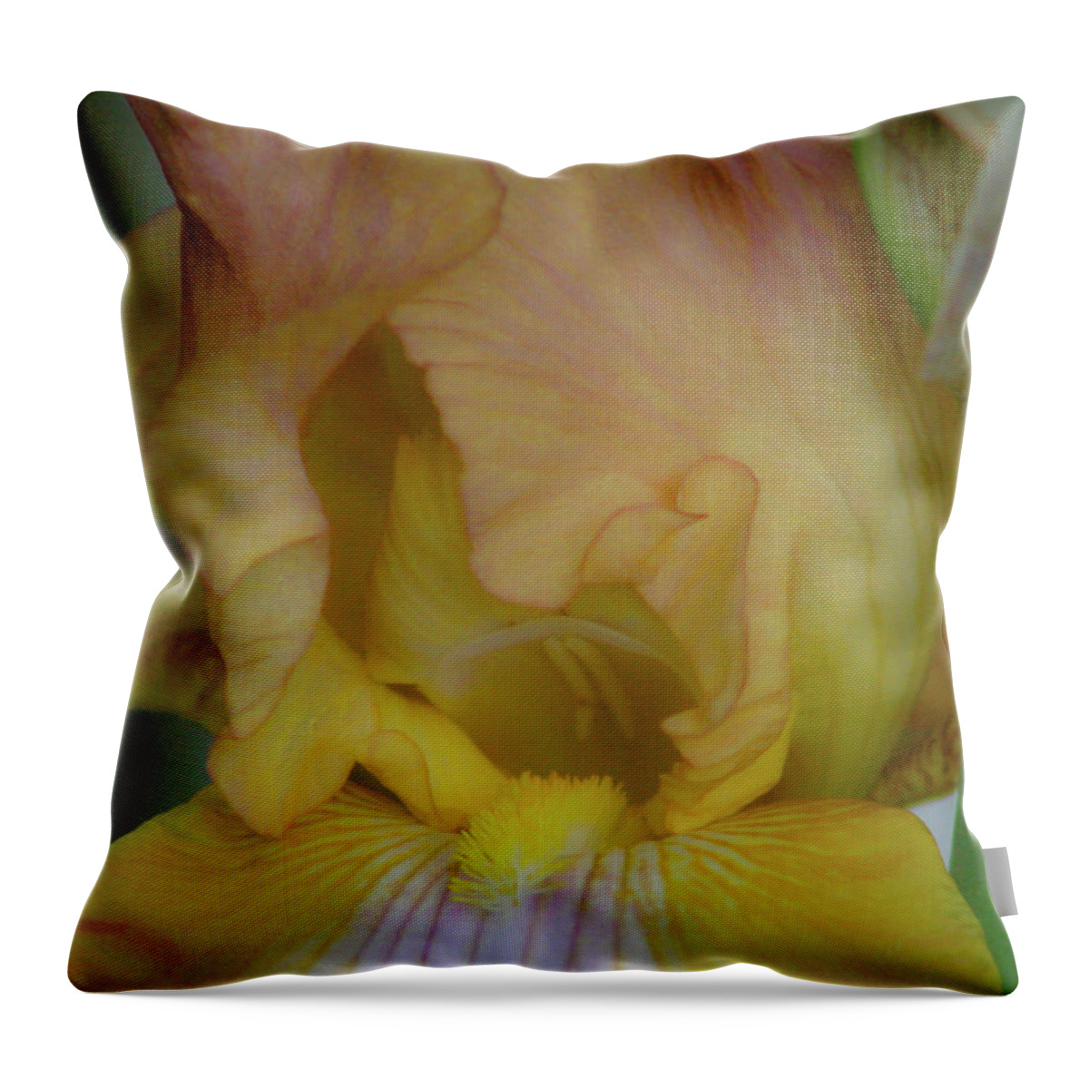 Home Décor Throw Pillow featuring the photograph Yellow Blush Iris 1284 H_2 by Steven Ward