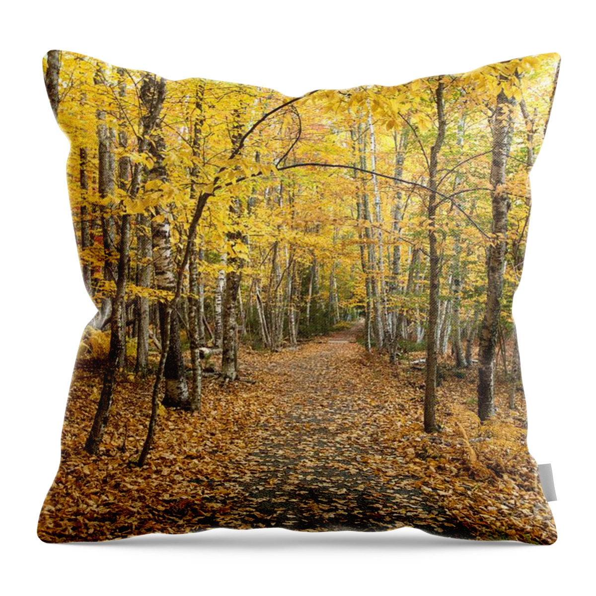 Maine Throw Pillow featuring the photograph Yellow Canopy by Karin Pinkham
