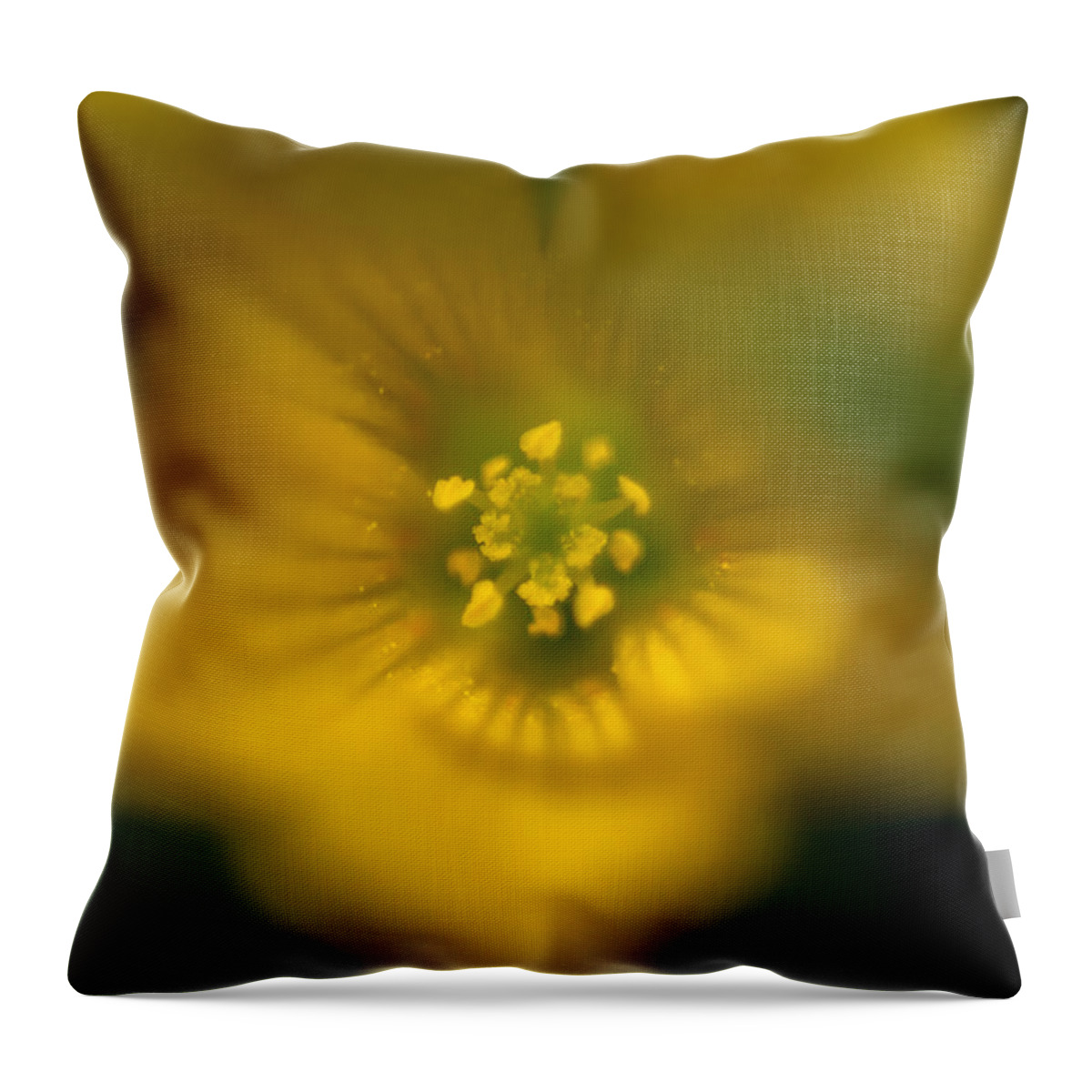 Jay Stockhaus Throw Pillow featuring the photograph Yellow Clover by Jay Stockhaus