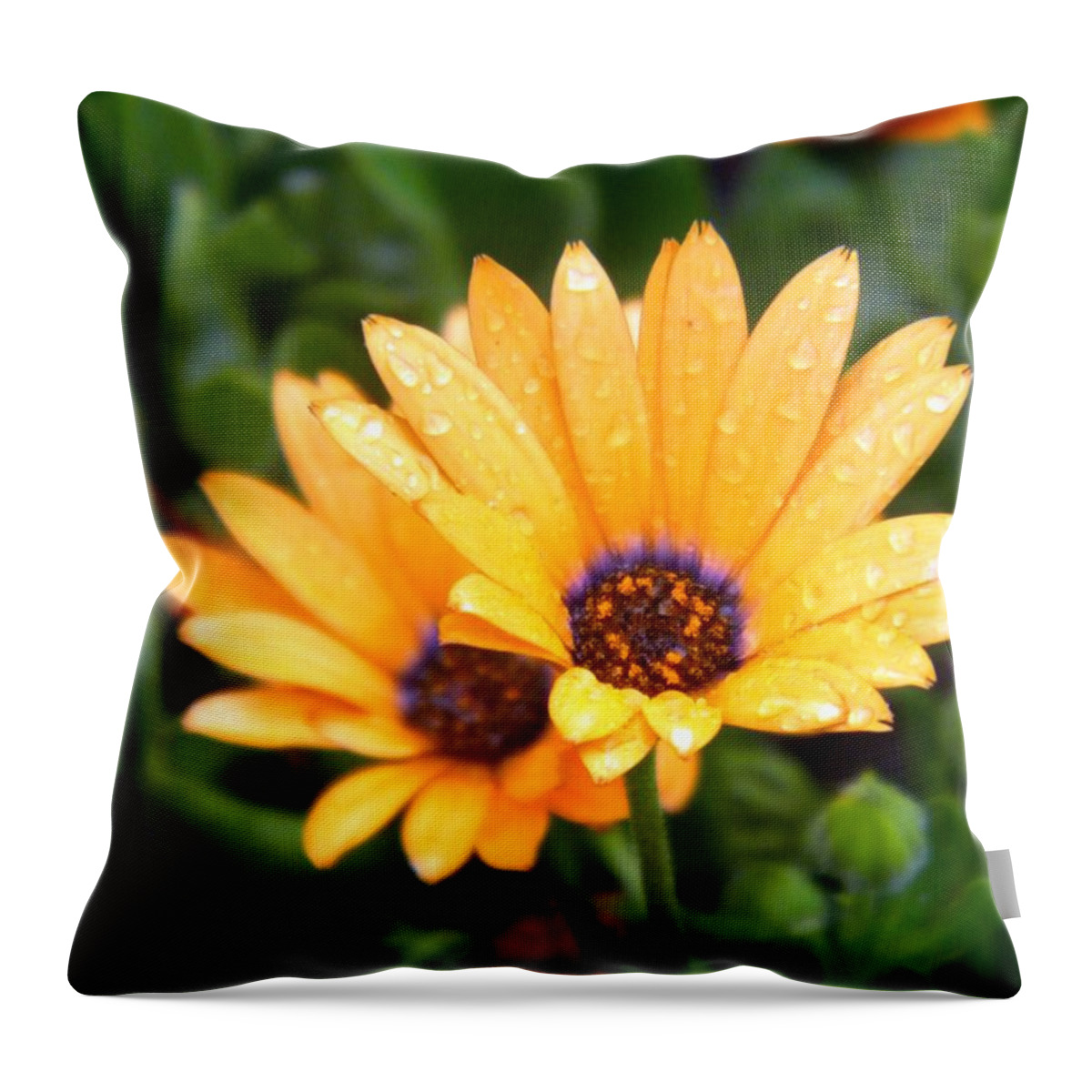 Yellow Throw Pillow featuring the photograph Yellow Colored Petals by Amanda Eberly