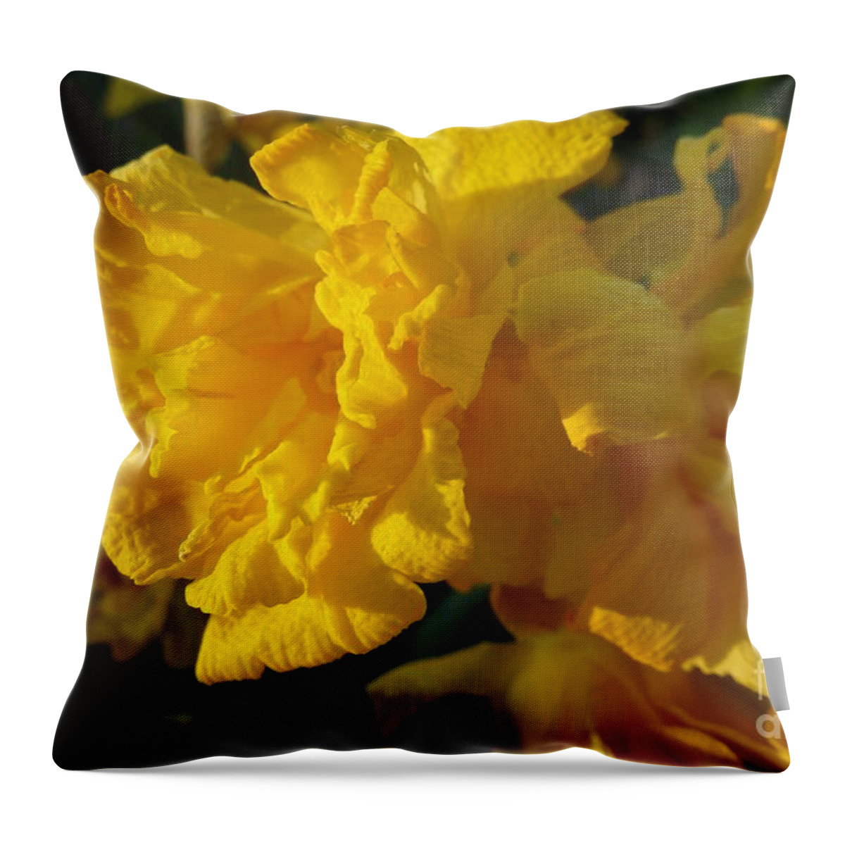 Abstract Throw Pillow featuring the photograph Yellow Daffodils by Jean Bernard Roussilhe