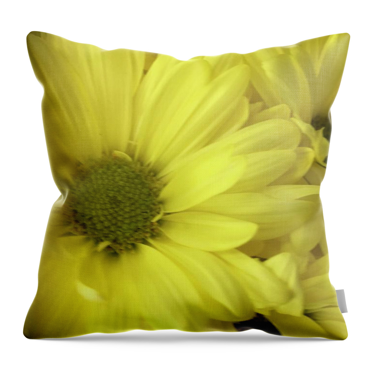 Daisy Throw Pillow featuring the photograph Yellow Daisies by Marian Lonzetta