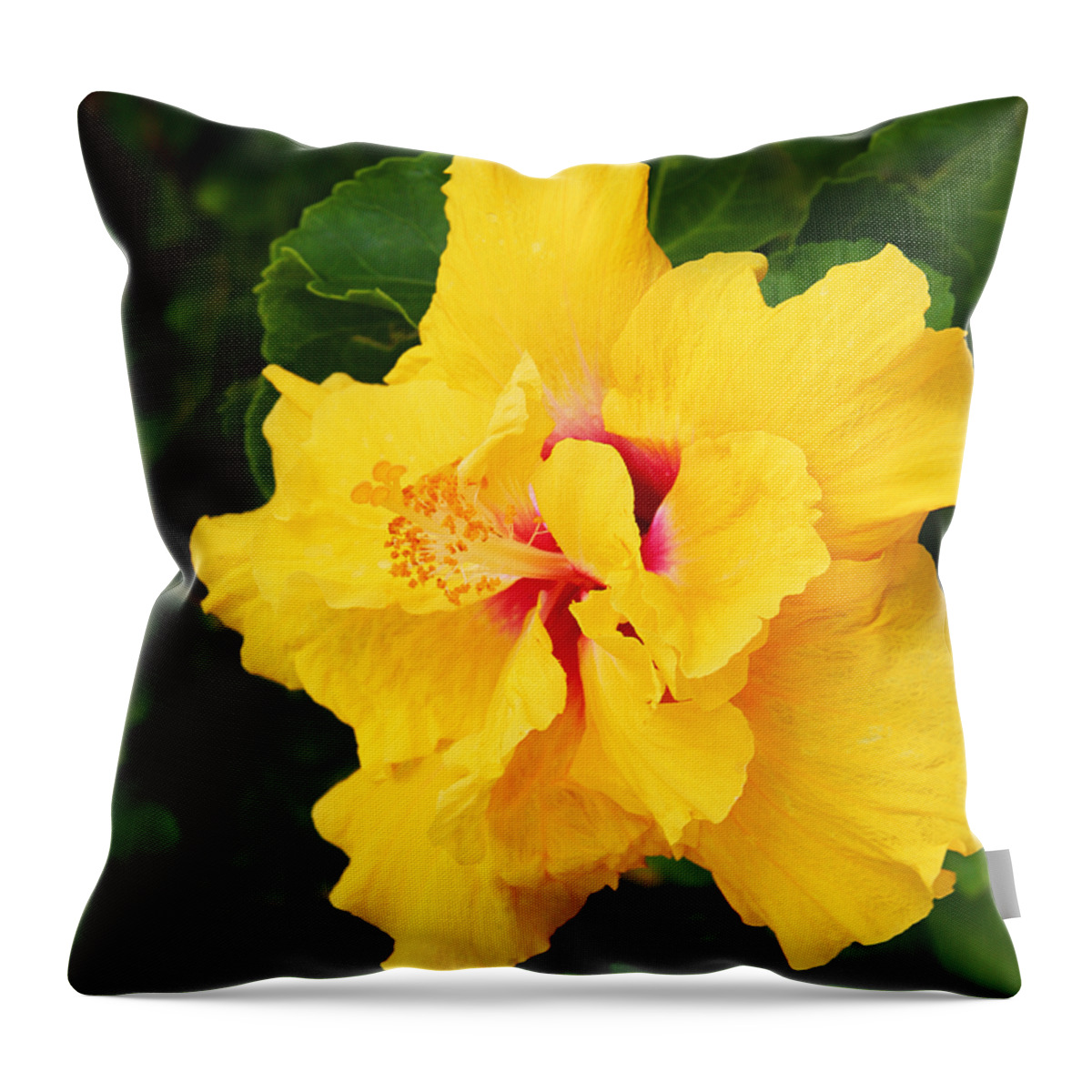 Hibiscus Throw Pillow featuring the photograph Yellow Double Hibiscus by Kerri Ligatich