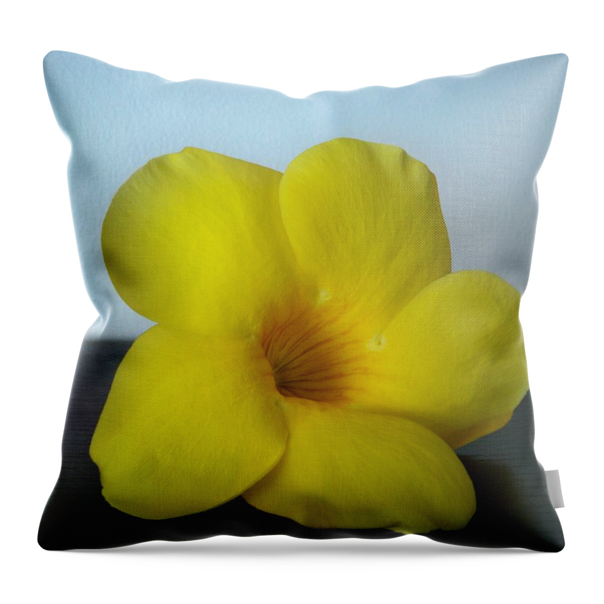 Flower Throw Pillow featuring the photograph Yellow flower from Salinas by Nancy Graham