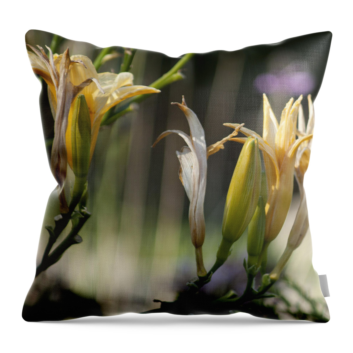 Flower Throw Pillow featuring the photograph Yellow flower by Martin Valeriano