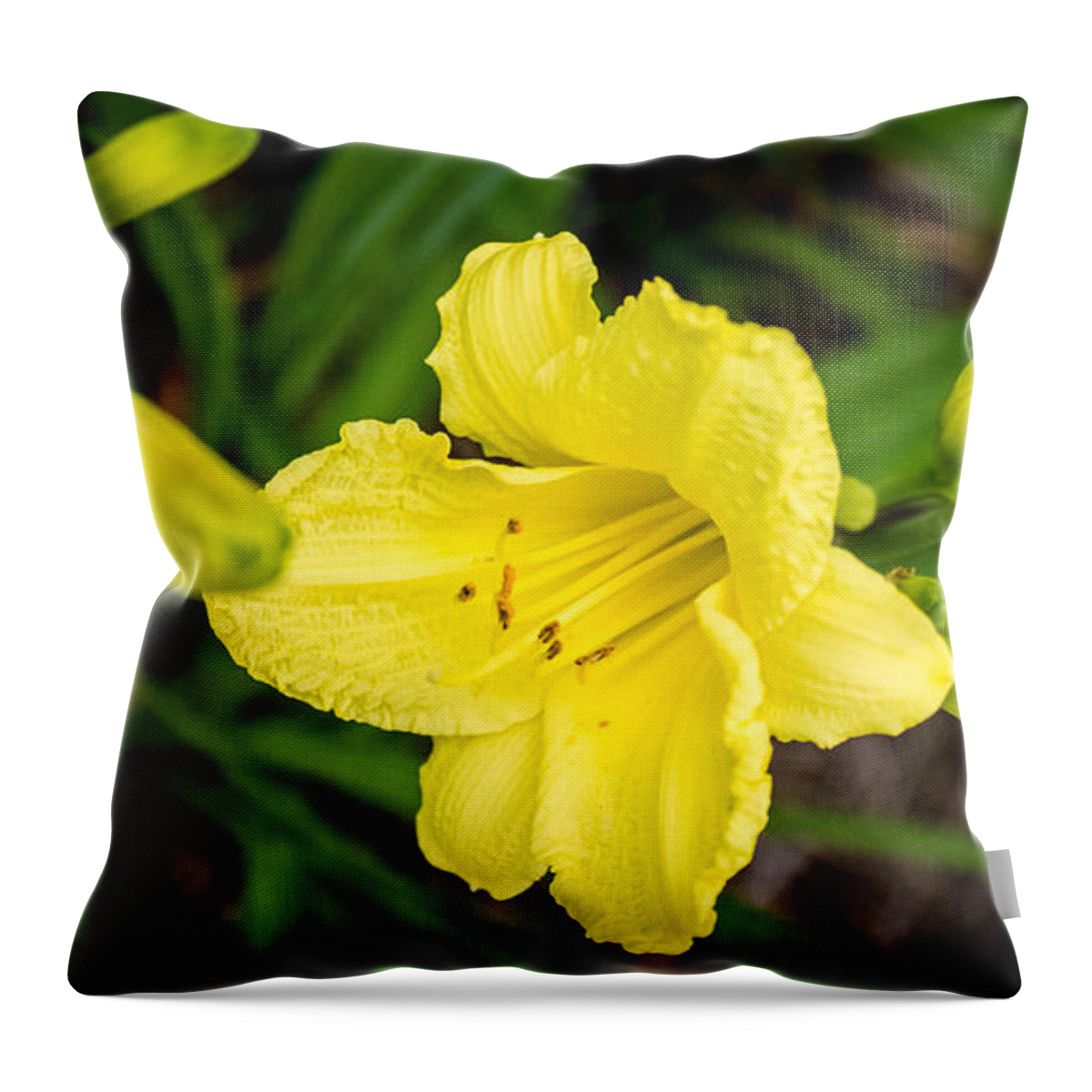 Flower Throw Pillow featuring the photograph Yellow Flower by Mike Dunn