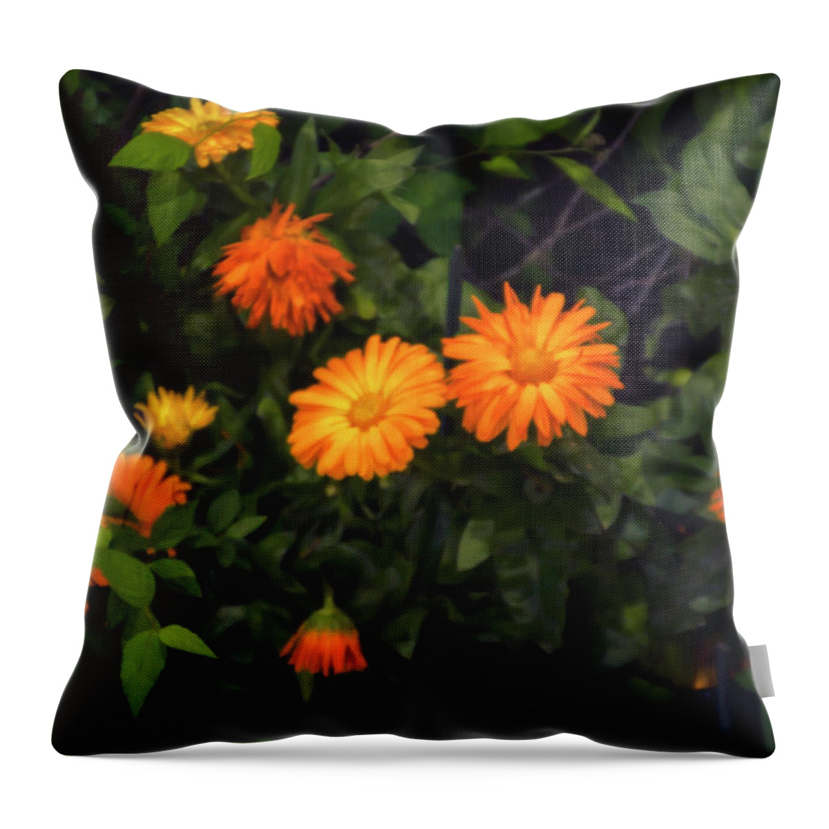 Yellow Throw Pillow featuring the photograph Yellow Flowers and Green Leaves by Bill Cannon