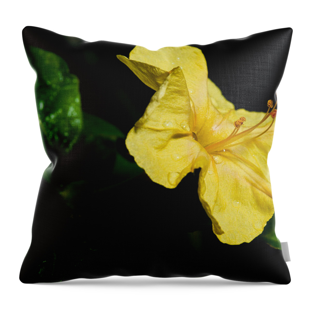 Flower Throw Pillow featuring the photograph Yellow Four O-Clock by Christopher Holmes