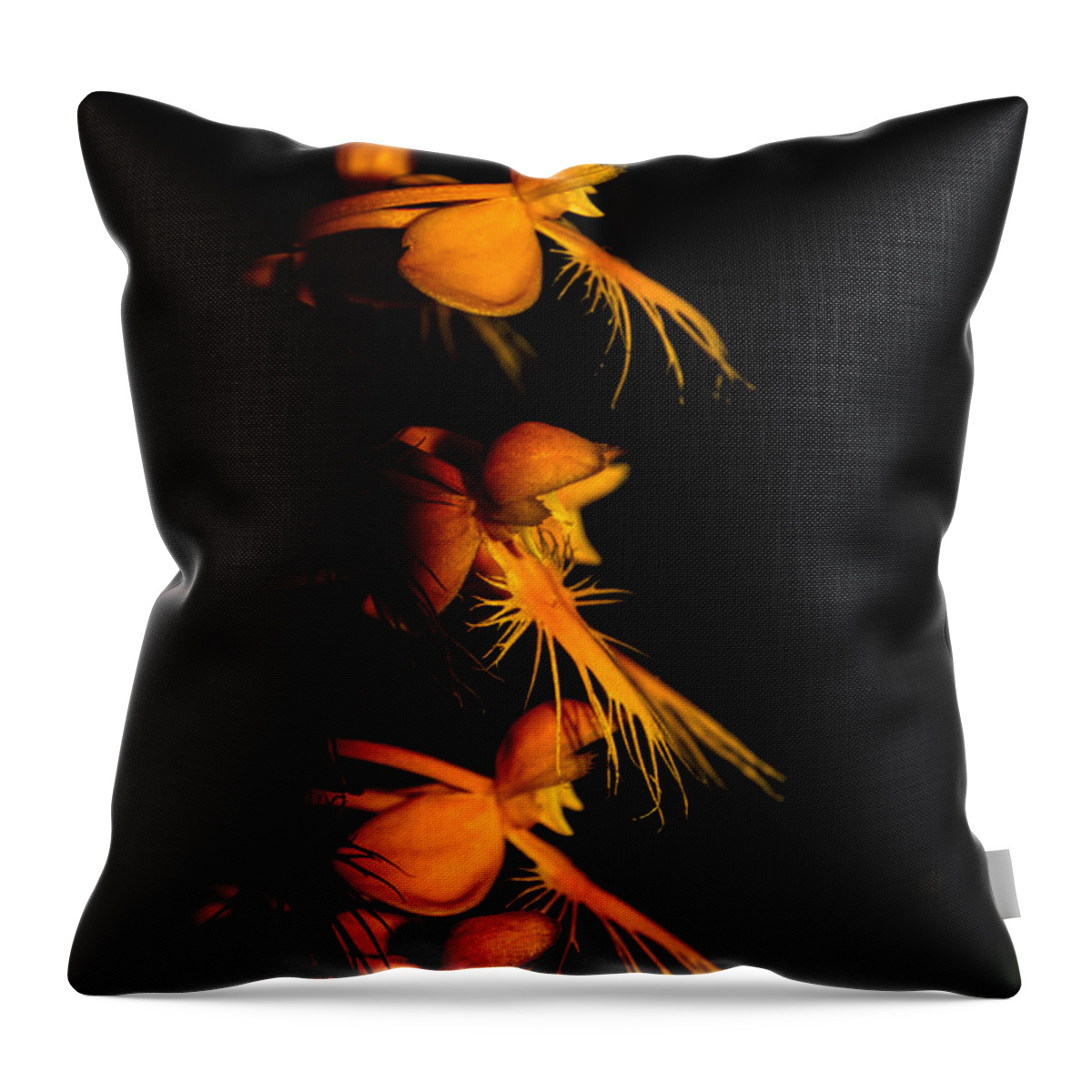 Yellow-fringe Orchid Throw Pillow featuring the photograph Yellow-fringe Orchid by Barbara Bowen