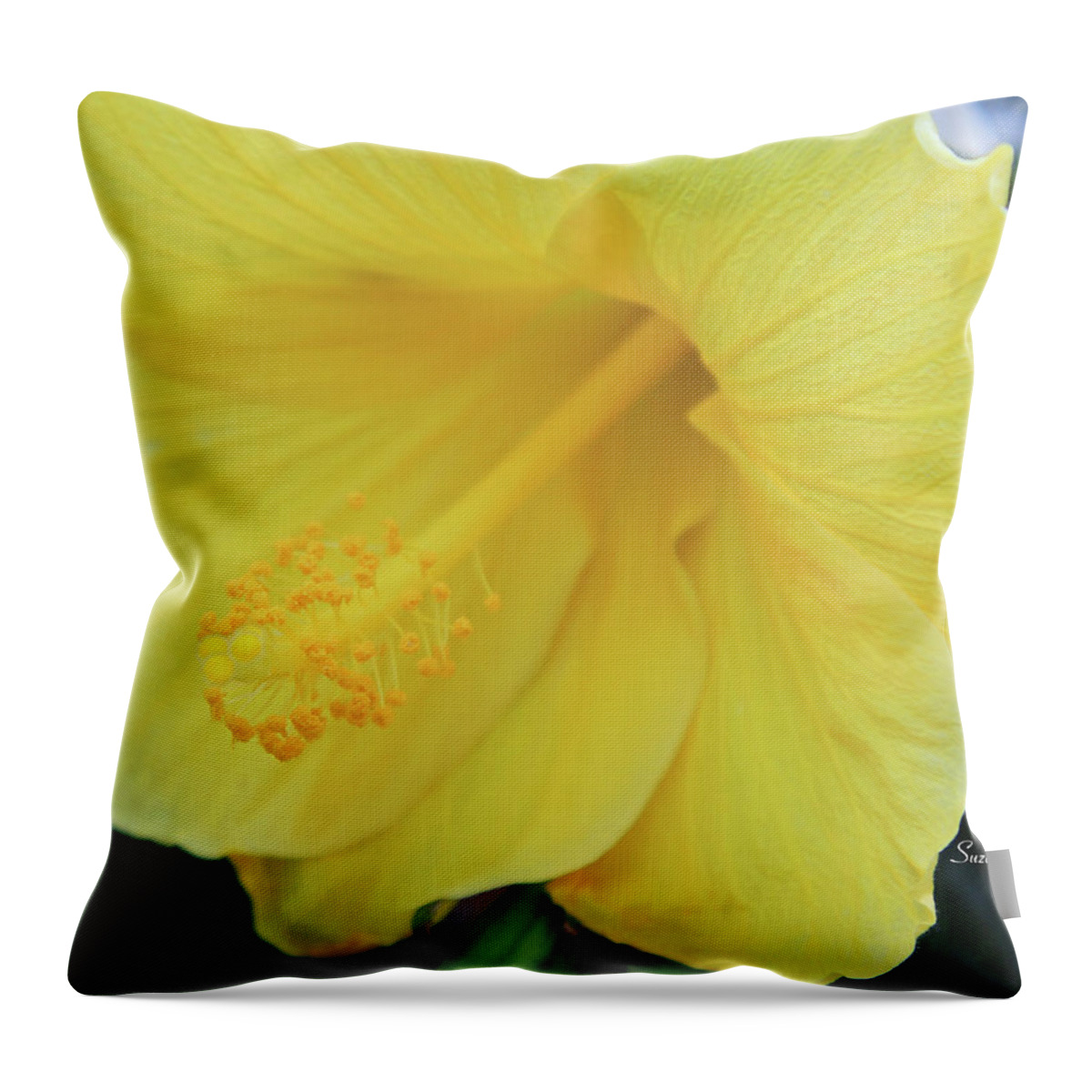 Hibiscus Throw Pillow featuring the photograph Yellow Hibiscus by Suzanne Gaff