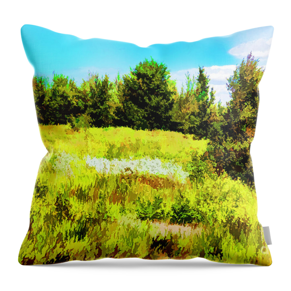 Landscapes Iceland Throw Pillow featuring the digital art Yellow Hill by Rick Bragan