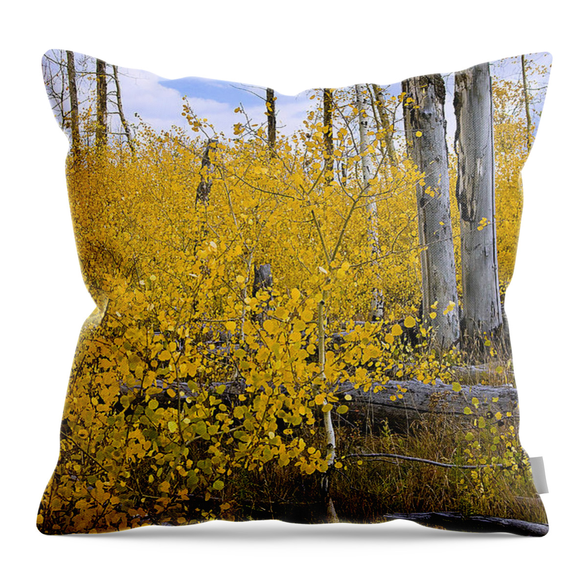 Yellow Throw Pillow featuring the photograph Yellow in Grand Teton by Ken Barrett