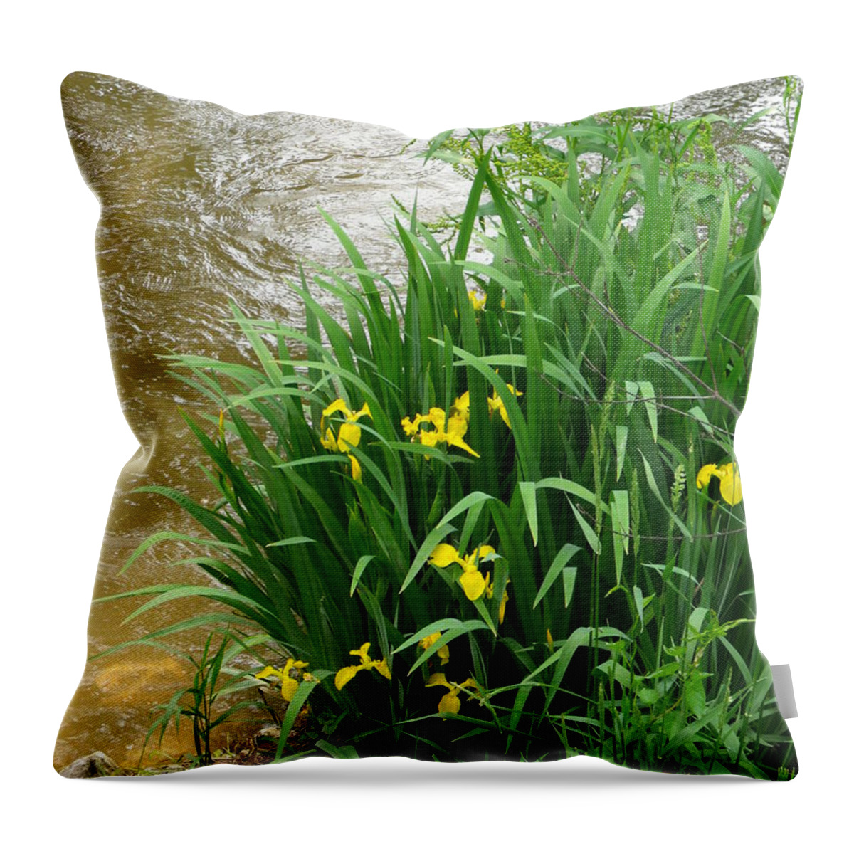 Flowers Throw Pillow featuring the photograph Yellow Iris by Anna Villarreal Garbis