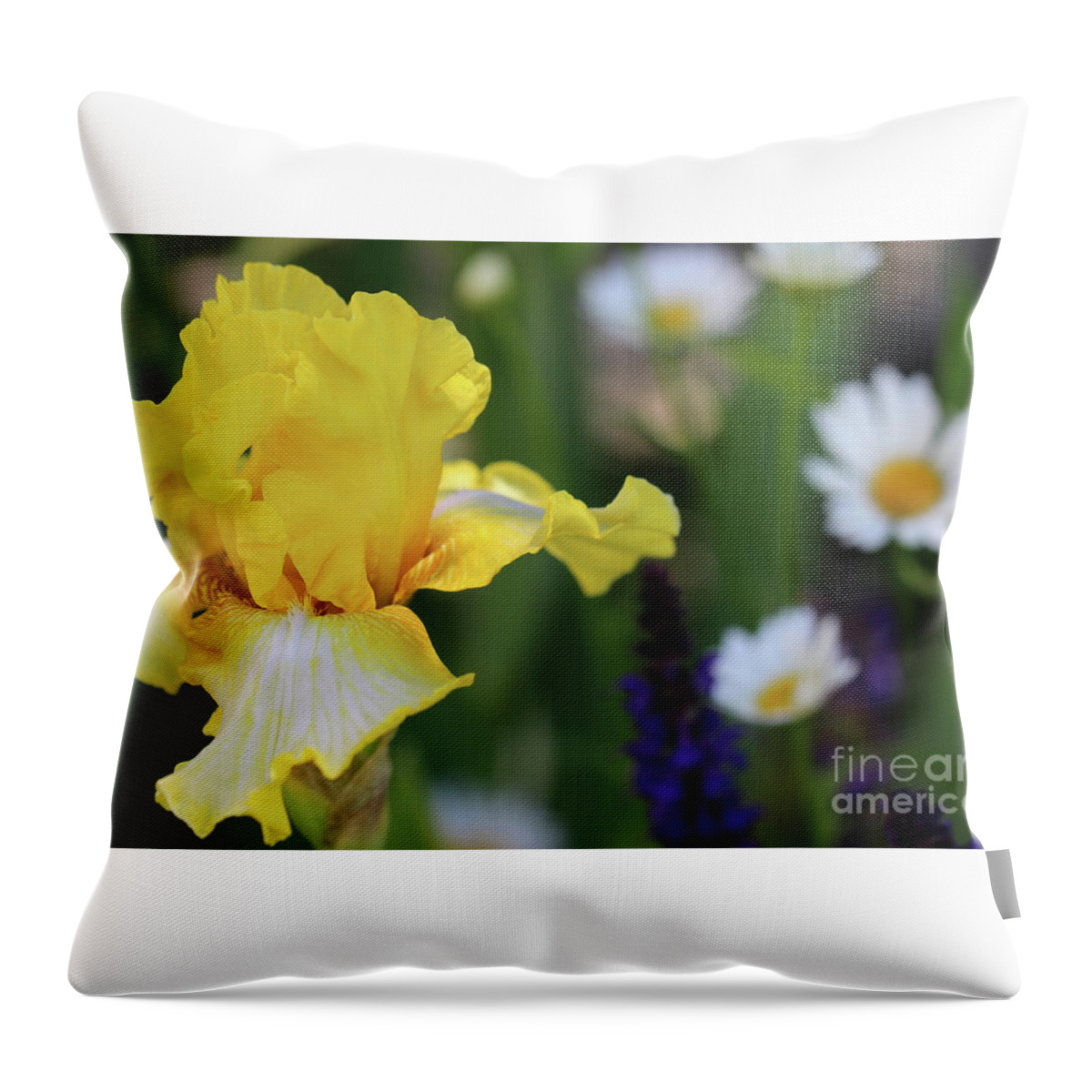 Flower Throw Pillow featuring the photograph Yellow iris in Spring Garden by Karen Adams