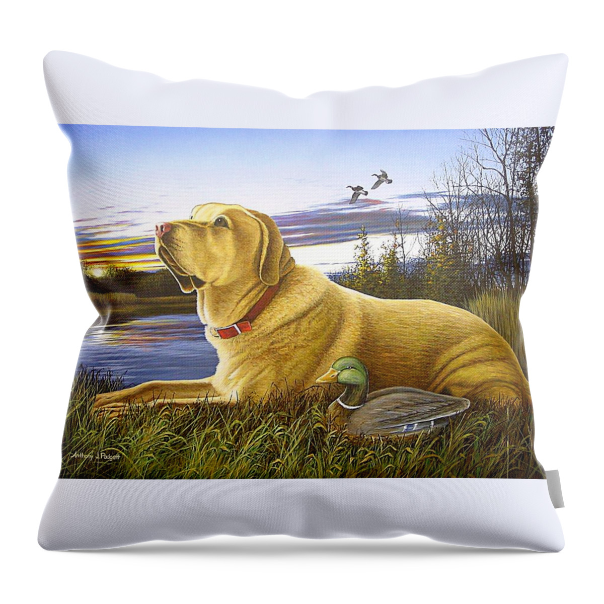 Yellow Lab Throw Pillow featuring the painting Yellow Lab with Decoy by Anthony J Padgett