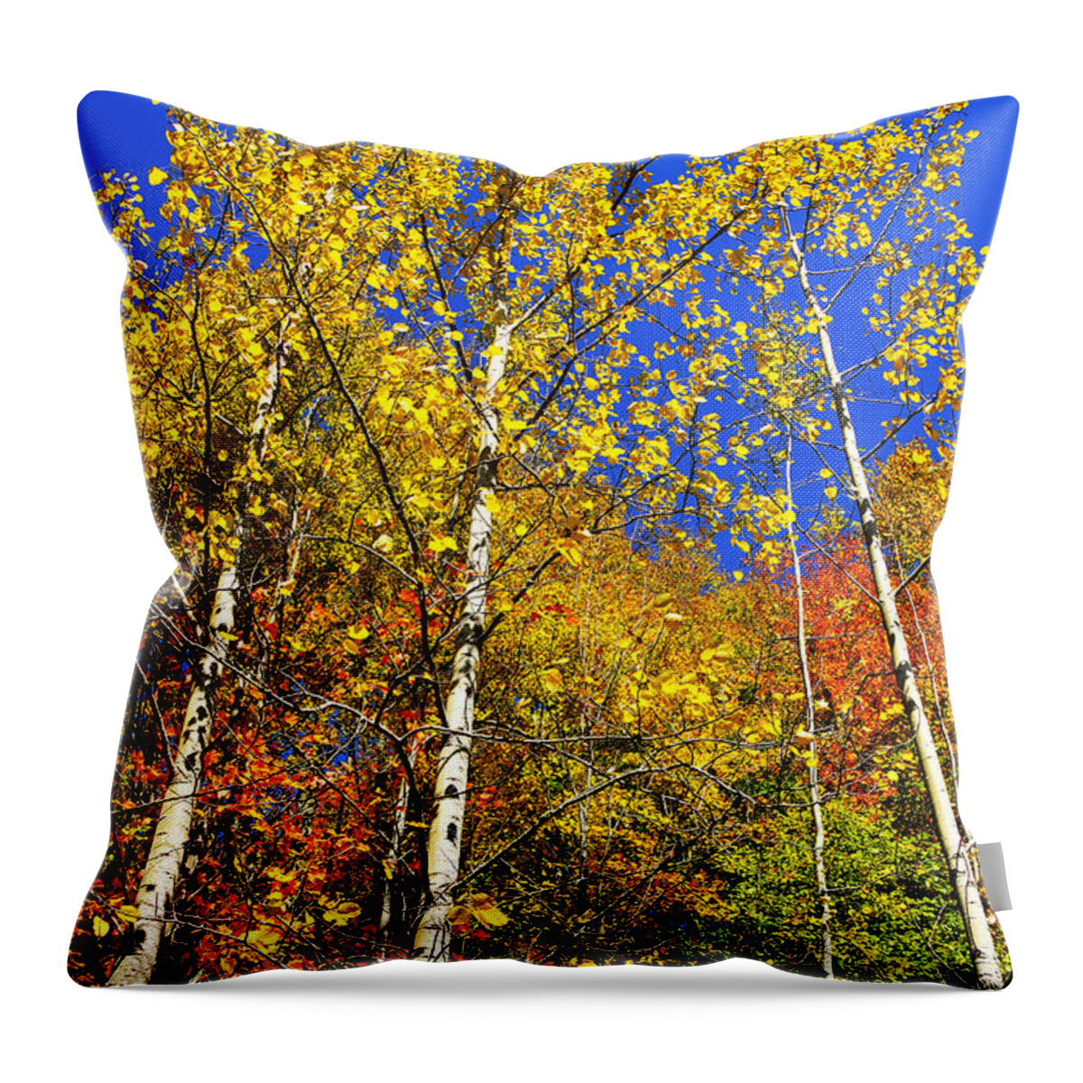 Summit Lake Throw Pillow featuring the photograph Yellow Leaves Blue Sky by Thomas R Fletcher