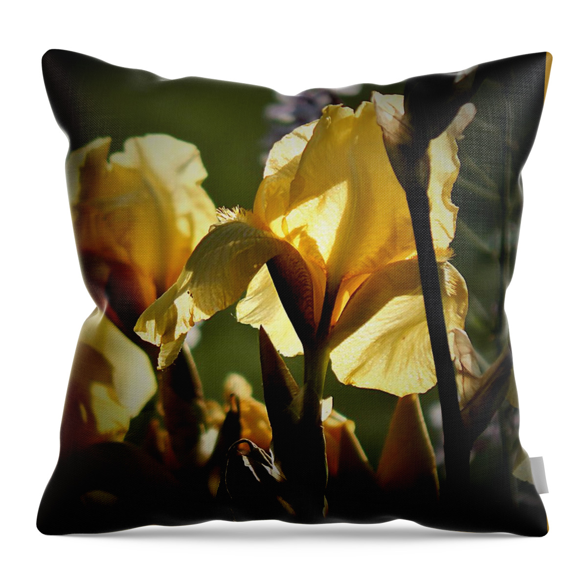Sprig Throw Pillow featuring the photograph Yellow Light by Wild Thing