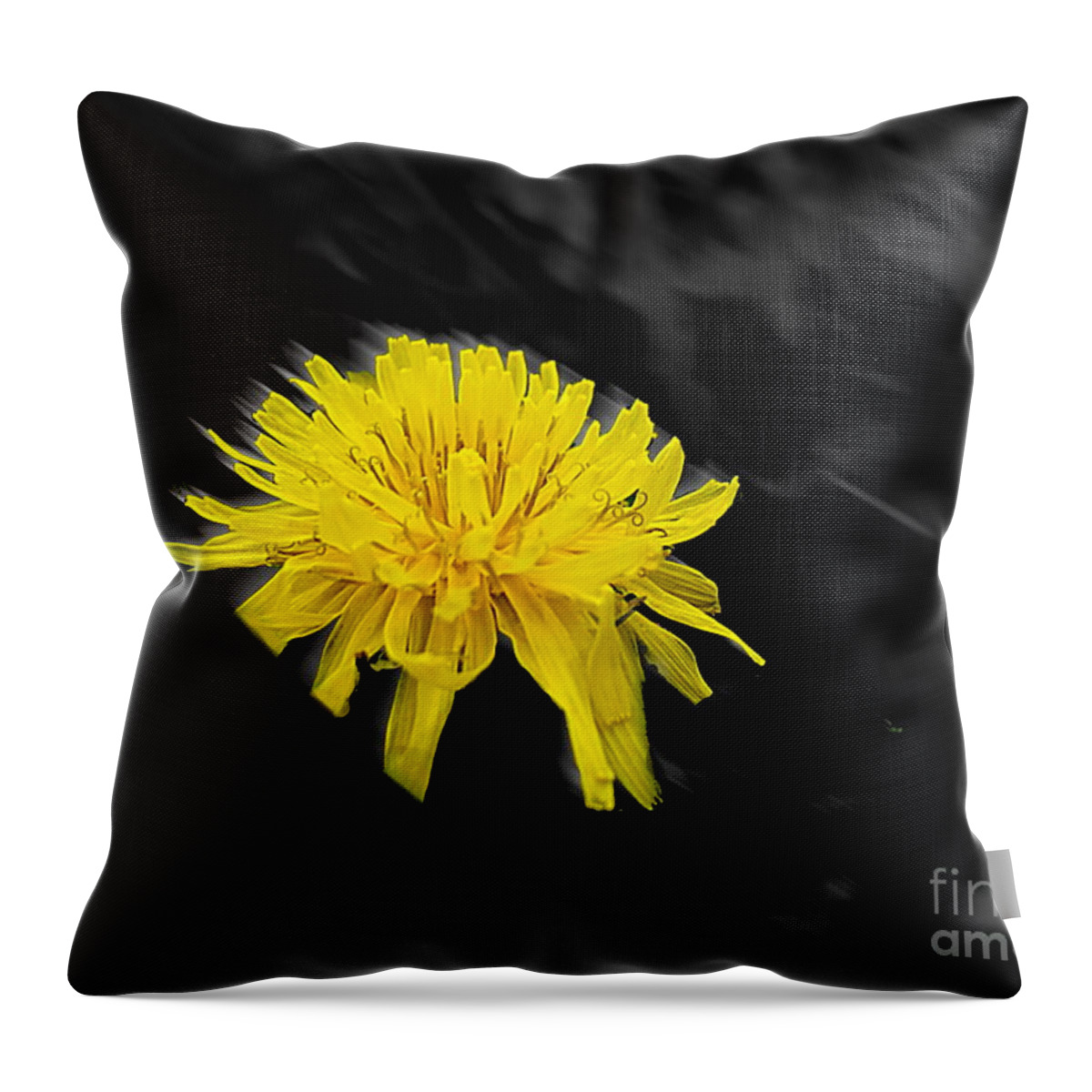 Yellow Flower Throw Pillow featuring the photograph Yellow Motion by Maria Aduke Alabi