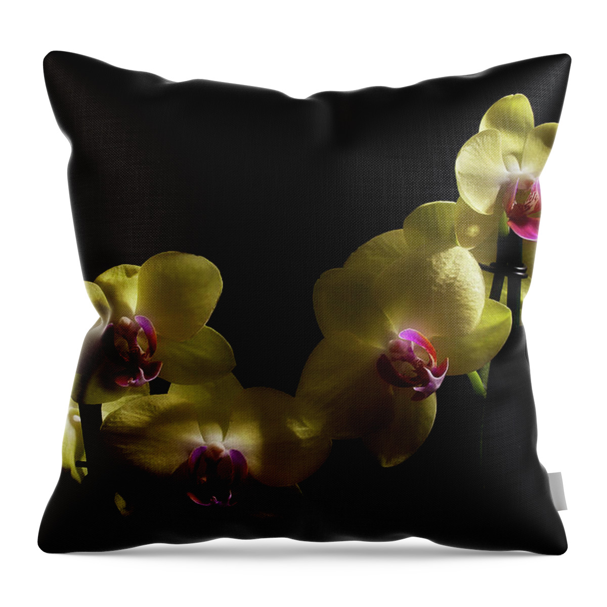 Orchid Throw Pillow featuring the photograph Yellow Orchid by Mike Eingle