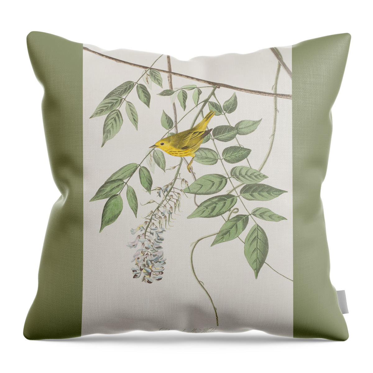 Yellow Poll Warbler Throw Pillow featuring the painting Yellow Poll Warbler by John James Audubon