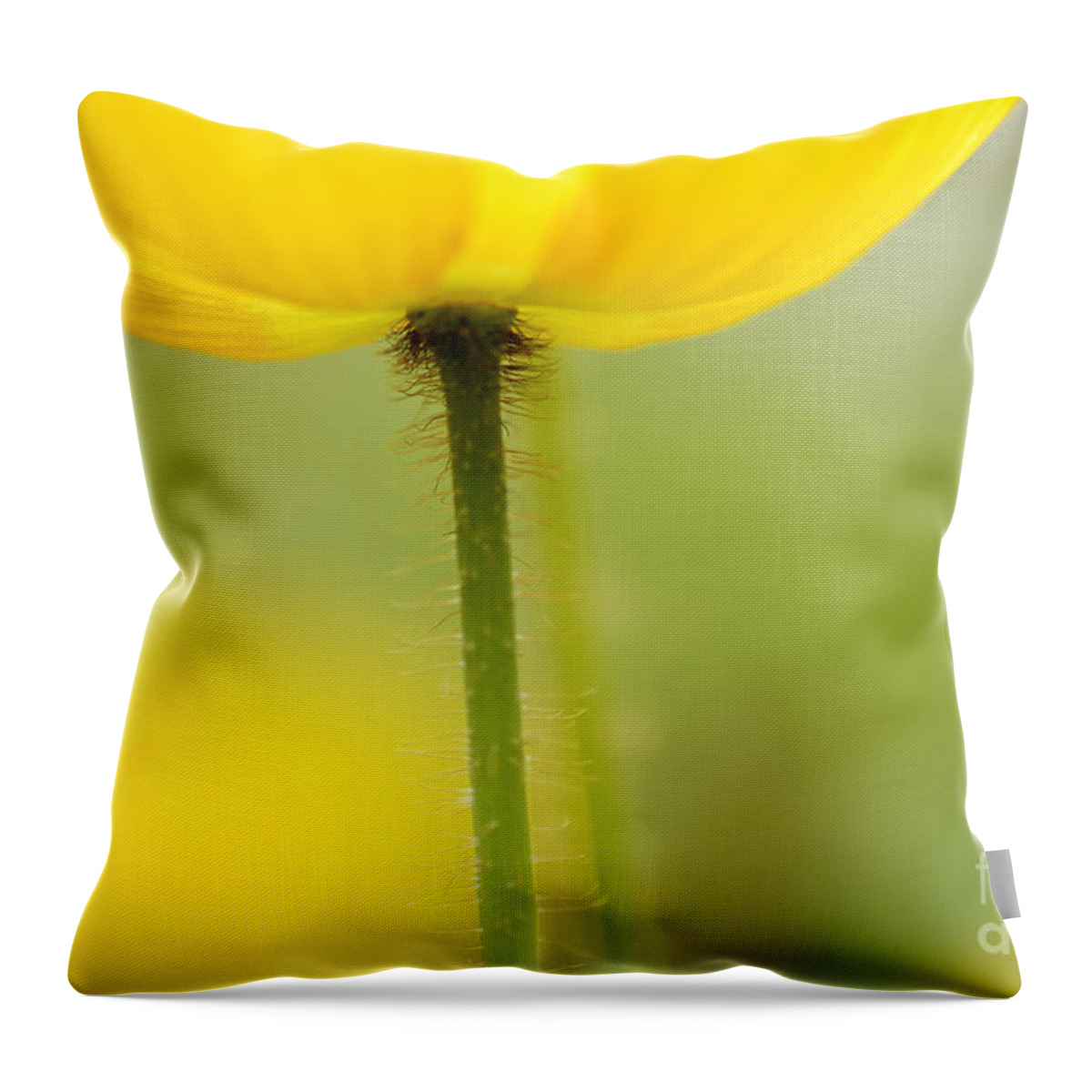 Poppy Throw Pillow featuring the photograph Yellow Poppy by Silke Magino