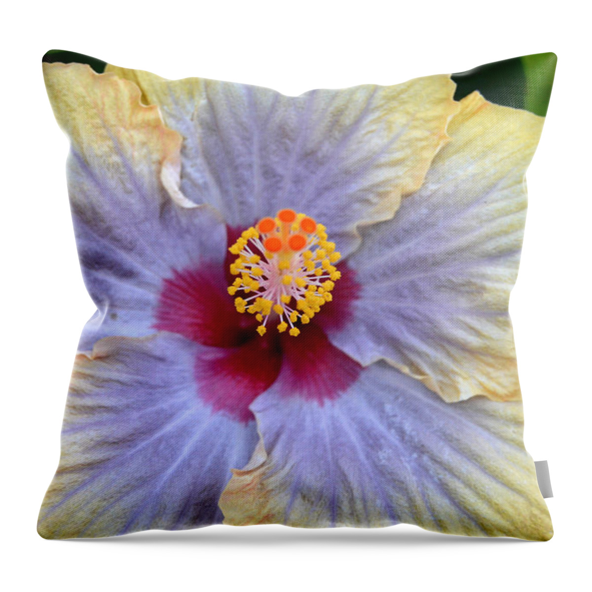 Flower Throw Pillow featuring the photograph Yellow Purple Hibiscus 2 by Amy Fose