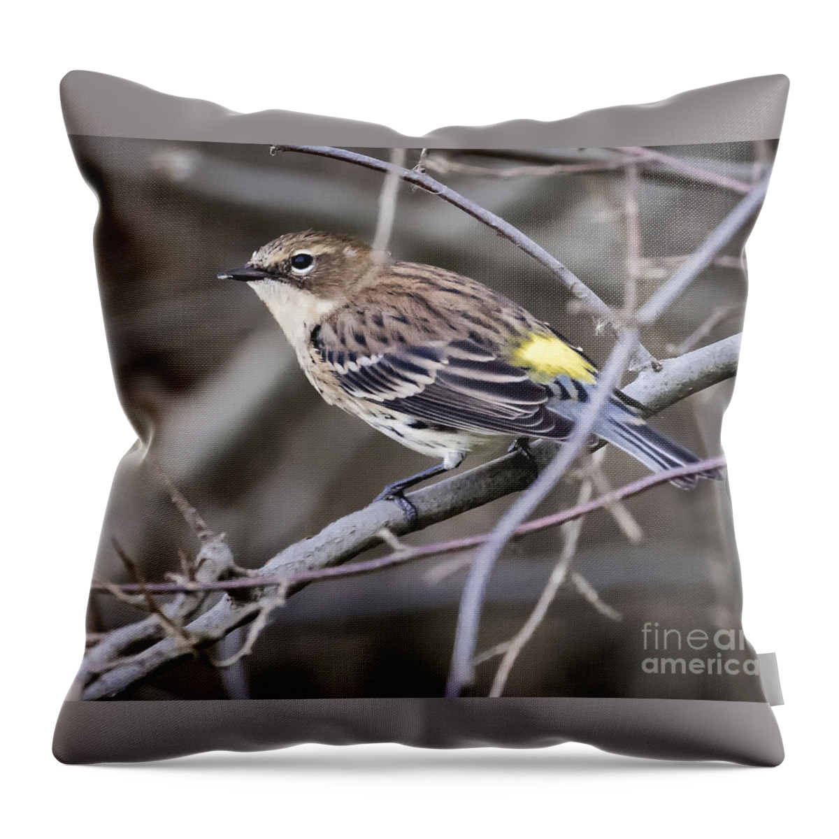 Canon Throw Pillow featuring the photograph Yellow-Rumped Warber in Fall Colors by Ricky L Jones