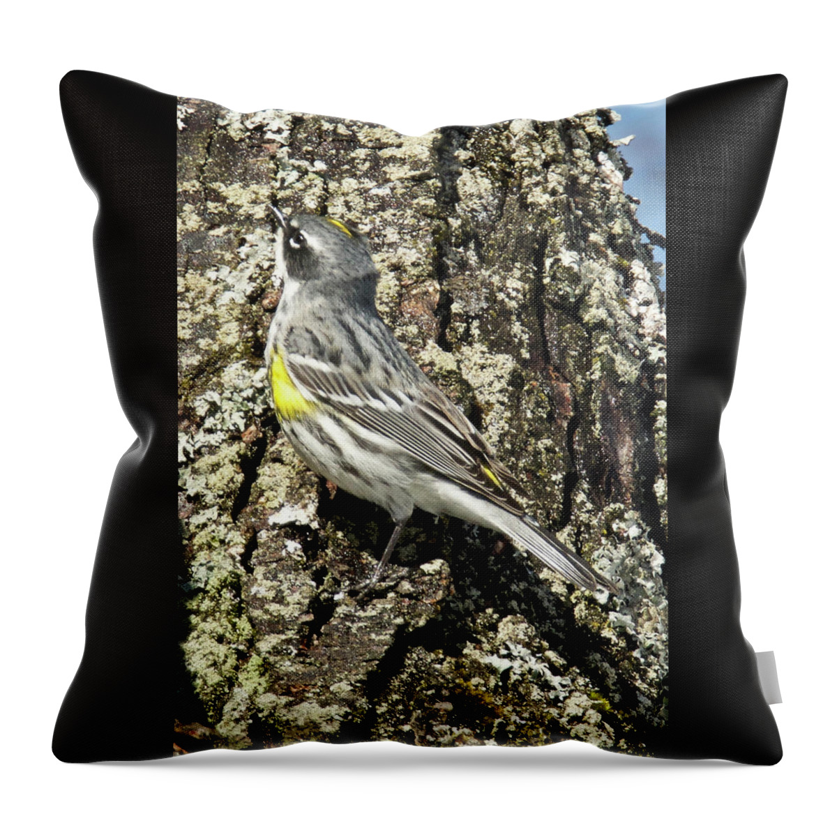 Bird Throw Pillow featuring the photograph Yellow-rumped Warbler 3174 by Michael Peychich