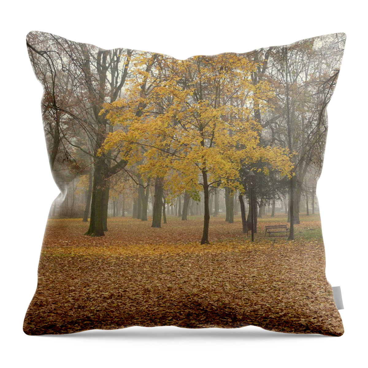 Tree Throw Pillow featuring the photograph Yellow tree by Lukasz Ryszka