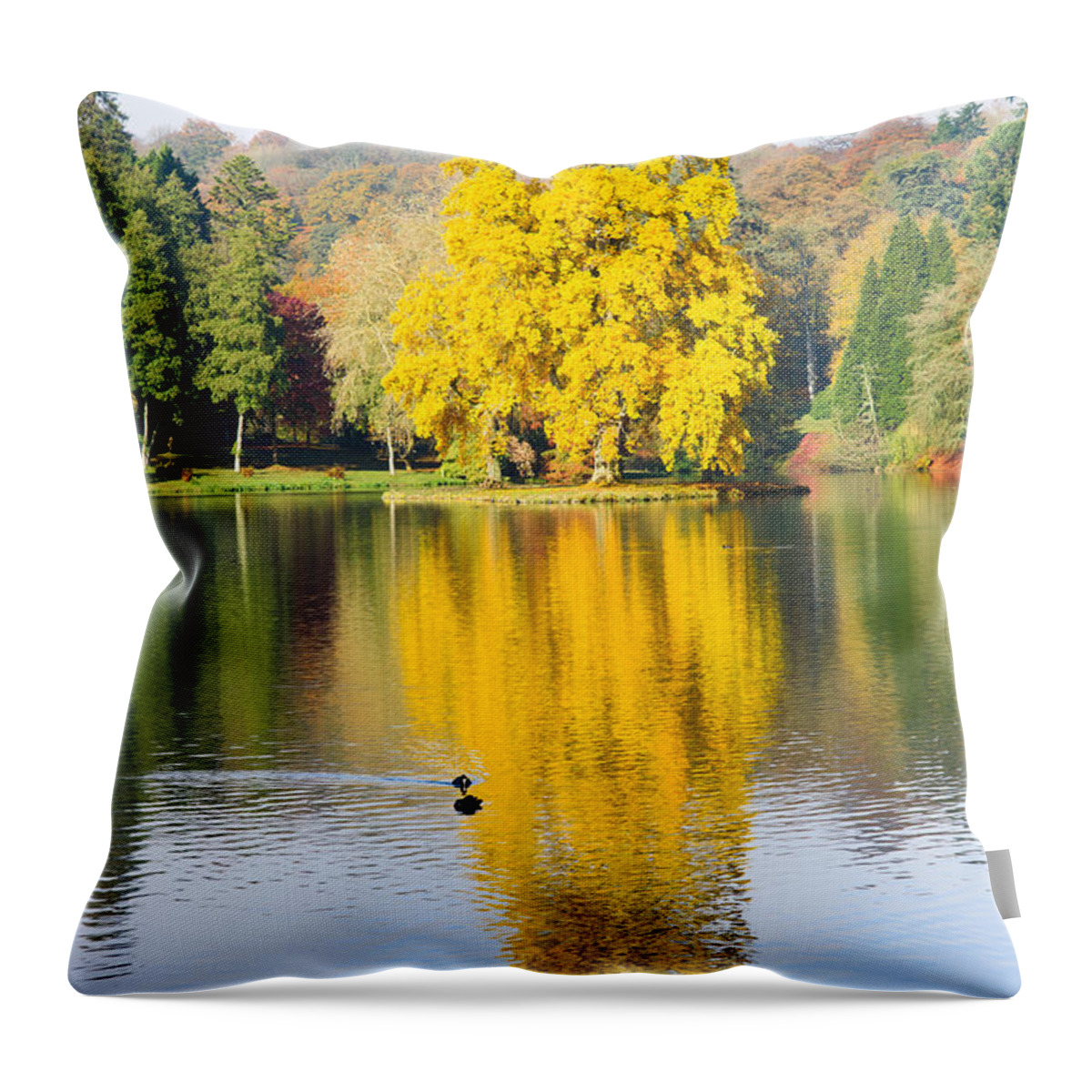 Autumn Throw Pillow featuring the photograph Yellow tree reflection by Colin Rayner