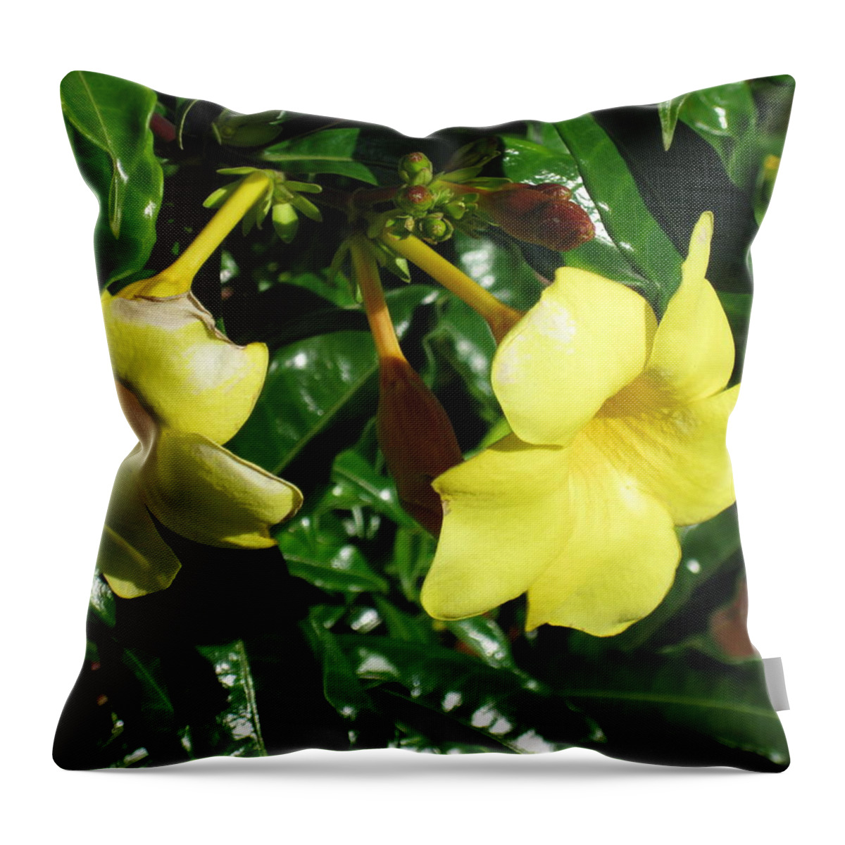 Throw Pillow featuring the photograph Yellow Trumpets by Ron Monsour