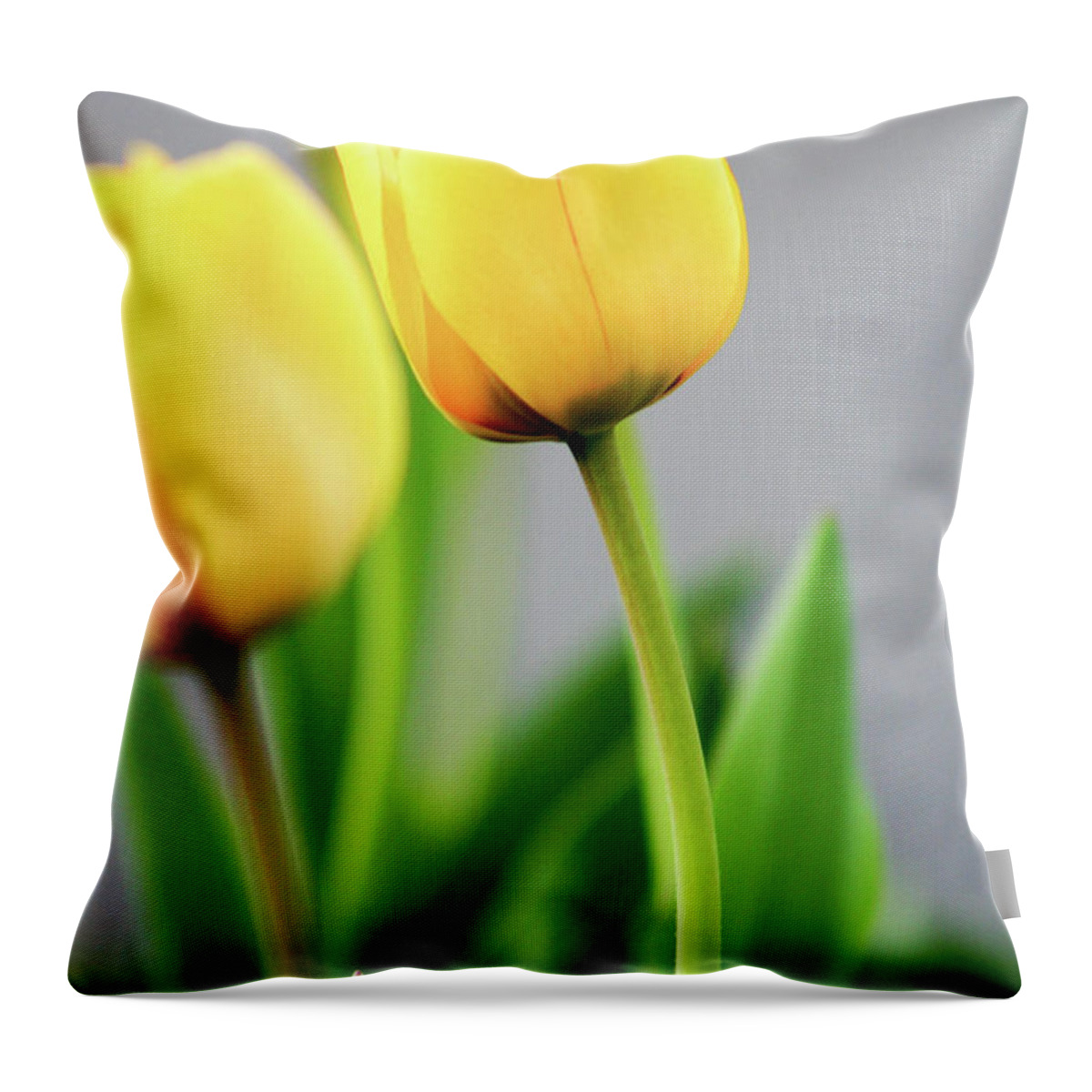 Floral Throw Pillow featuring the photograph Yellow Tulips by Mary Anne Delgado