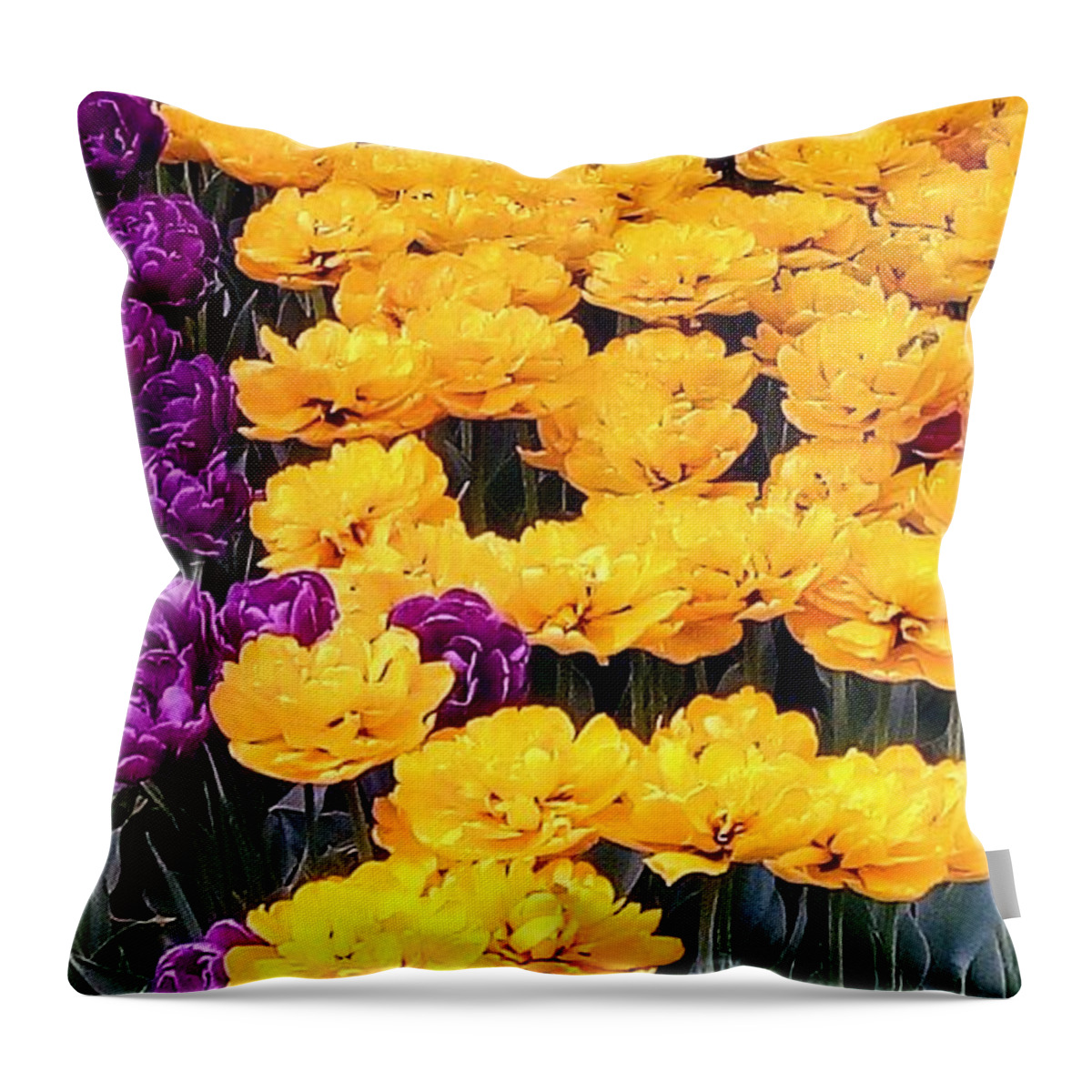 Yellow Throw Pillow featuring the photograph Yellow Violets by Oleg Zavarzin