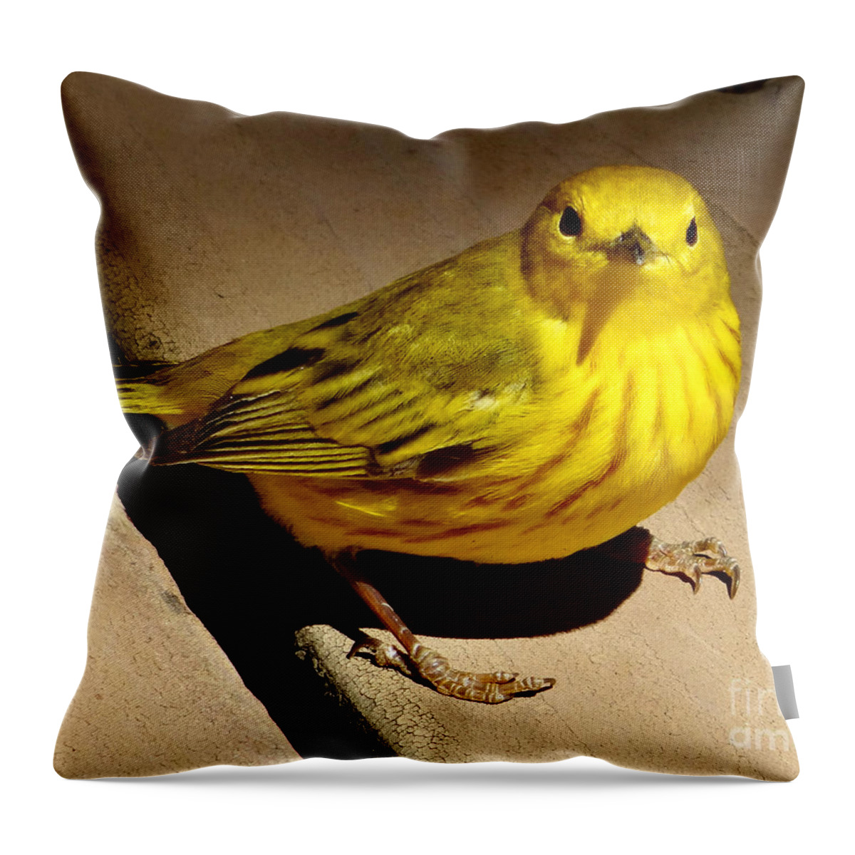 © 2017 Throw Pillow featuring the photograph Yellow Warbler by Christopher Plummer