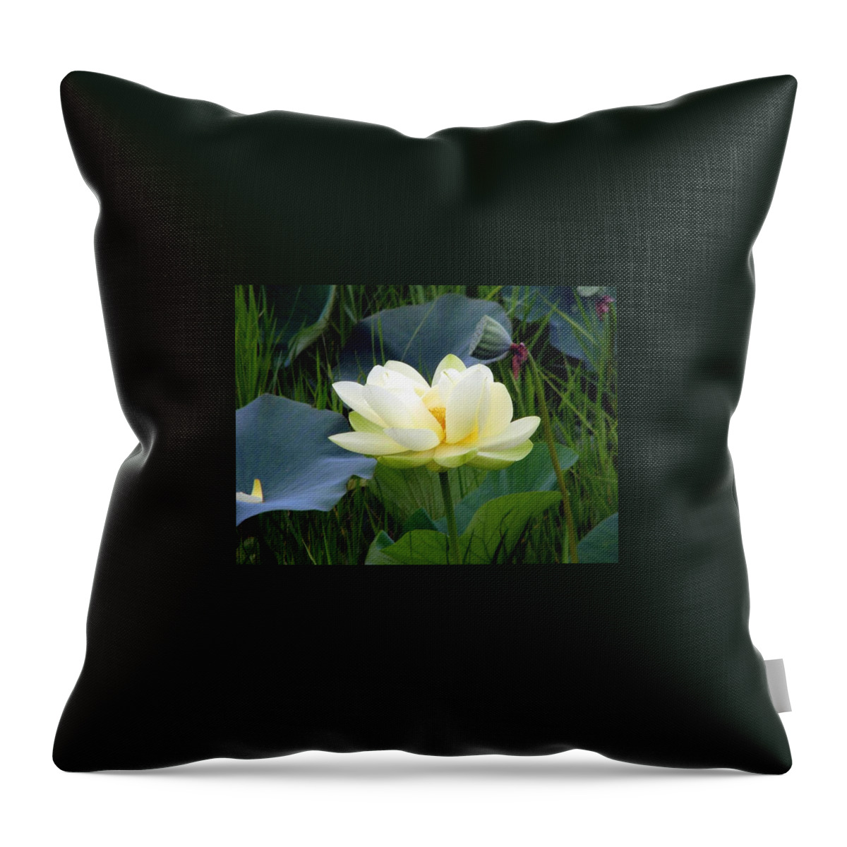 Water Throw Pillow featuring the photograph Yellow Water Lily by Farol Tomson