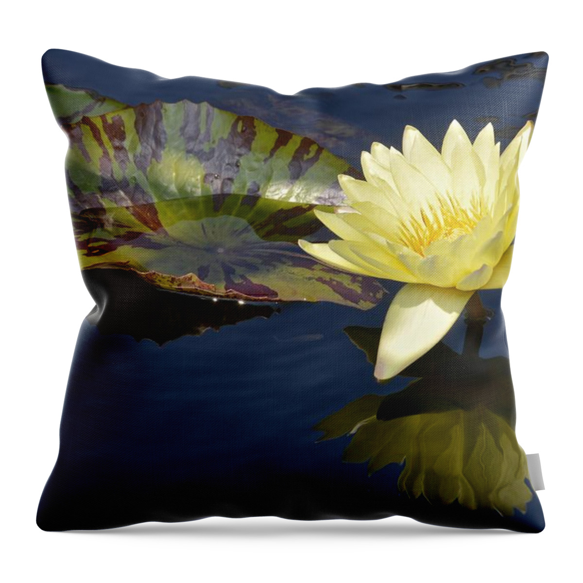 Longwood Gardens Throw Pillow featuring the photograph Yellow Waterlily by Tana Reiff