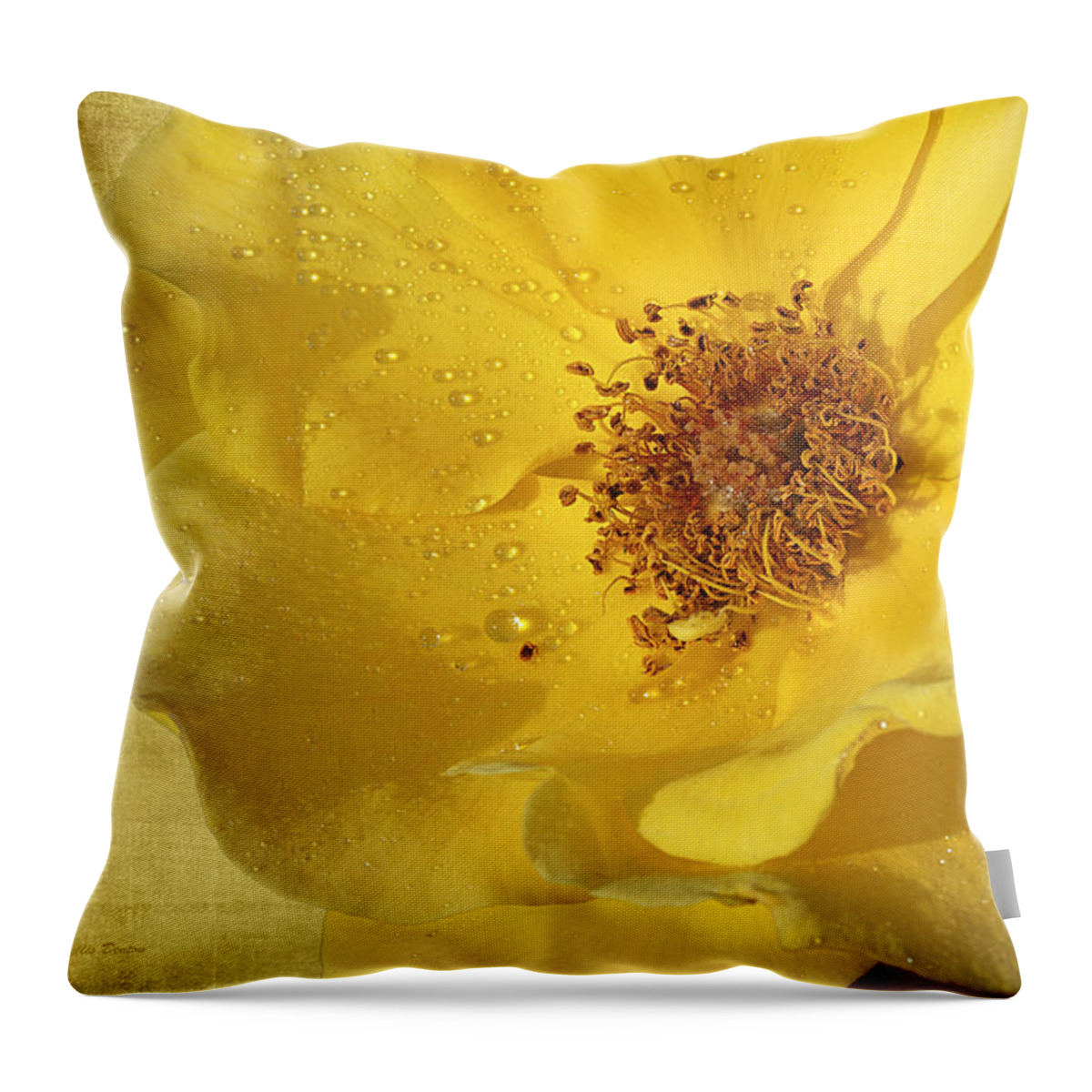 Rose Throw Pillow featuring the photograph Yellow Wild Rose by Phyllis Denton