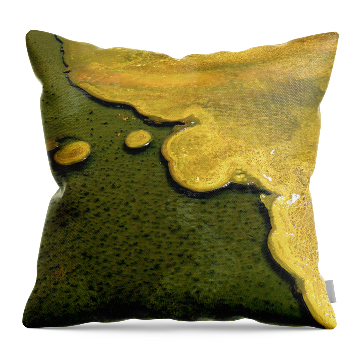Ausra Huntington Throw Pillow featuring the photograph Yellowstone Art. Yellow and Green by Ausra Huntington nee Paulauskaite