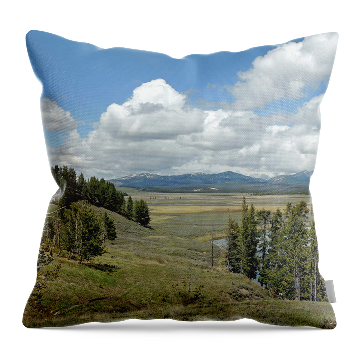 Yellowstone Throw Pillow featuring the photograph Yellowstone Caldera by Jayne Wilson