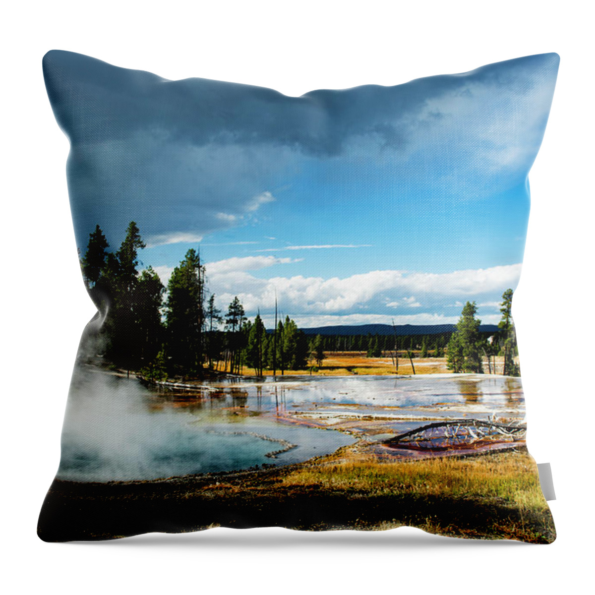 Yellowstone Throw Pillow featuring the photograph Yellowstone Colors #1 by Scott Read